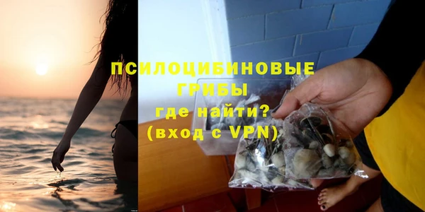 стаф Лагань