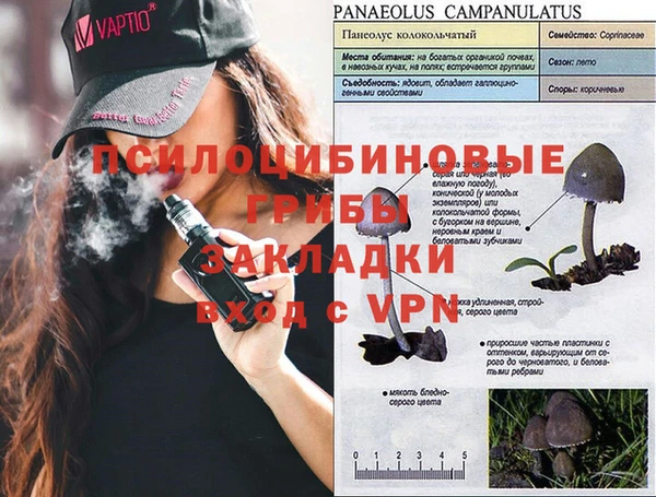стаф Лагань