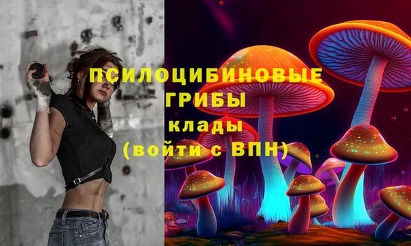 тгк Балахна