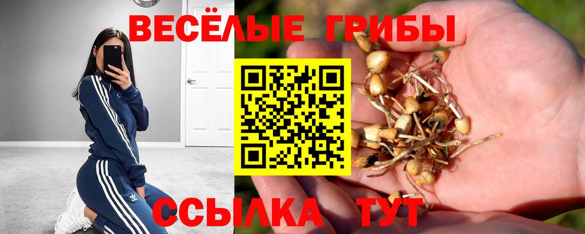 наркошоп  Беслан  Псилоцибиновые грибы Cubensis 