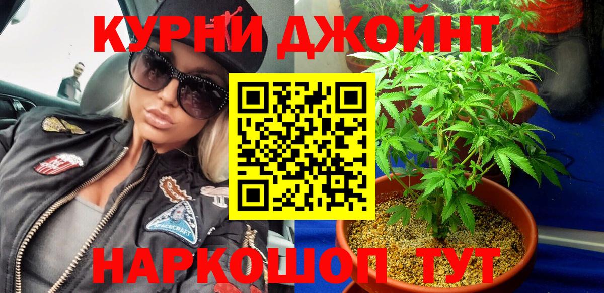 Конопля план  Беслан  Конопля индика 